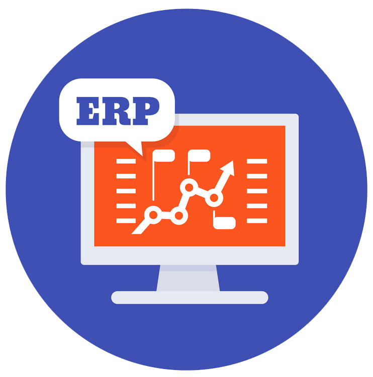 ERP Development